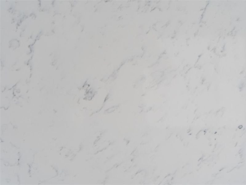 Carrara 6-K020 (1)