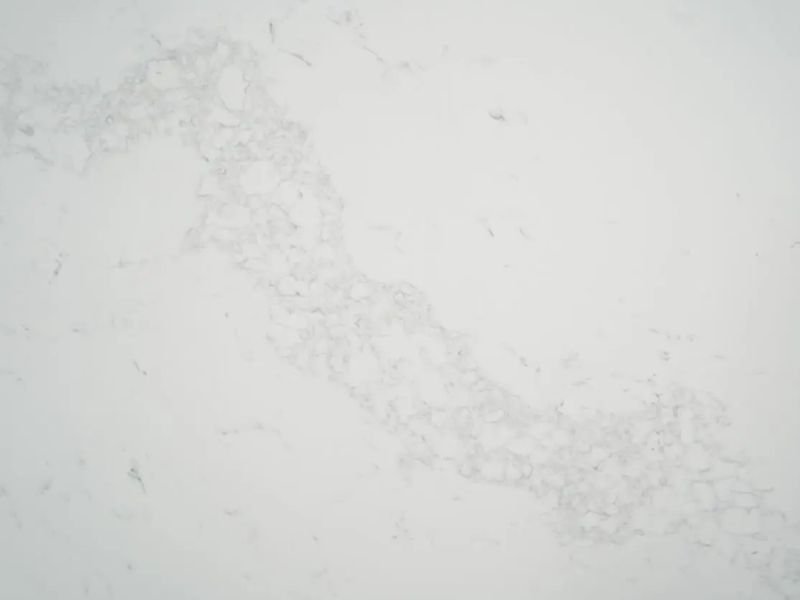 Carrara modelo 5031 (1)